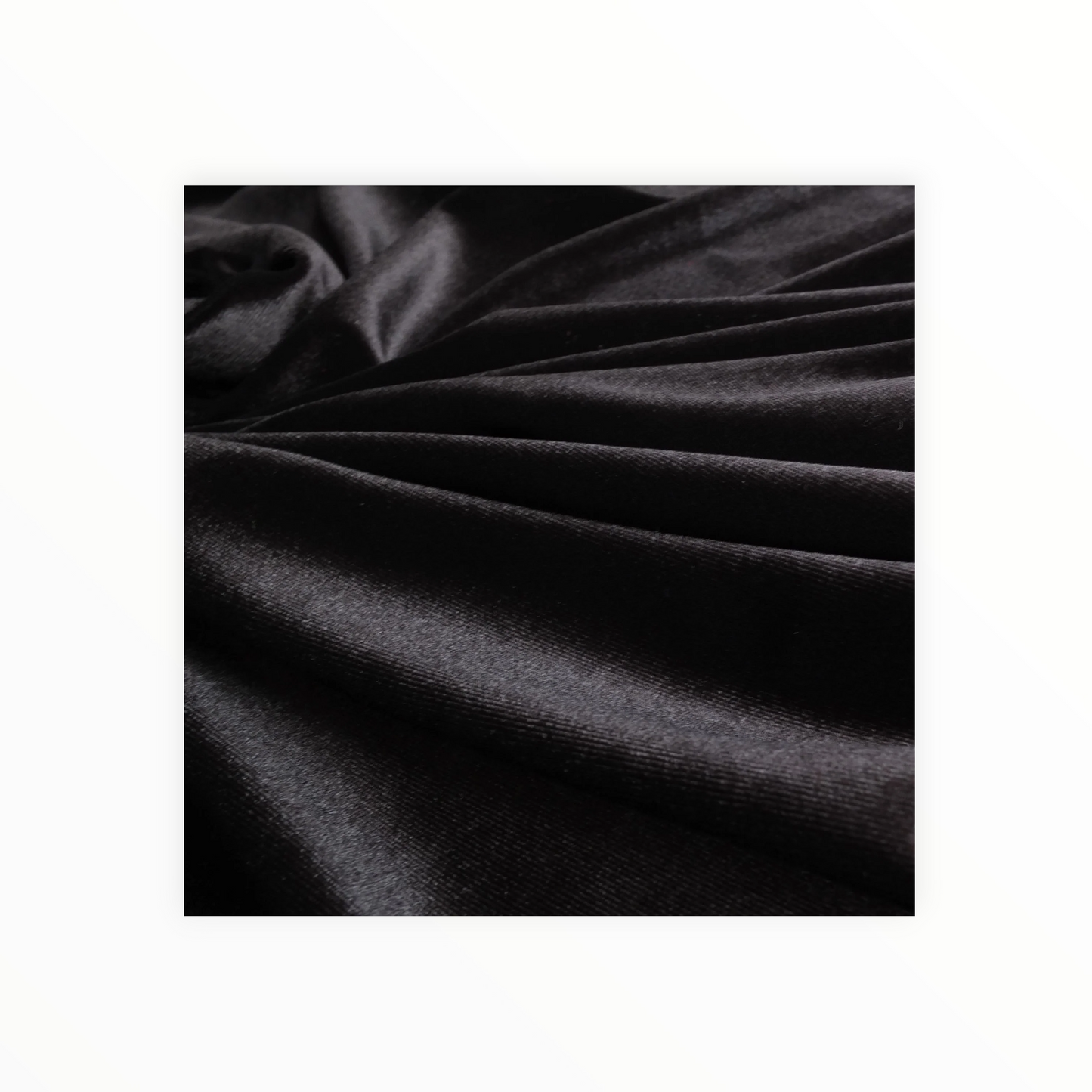 Regal Velvet Collection: Triple Crown Velvet Fabric