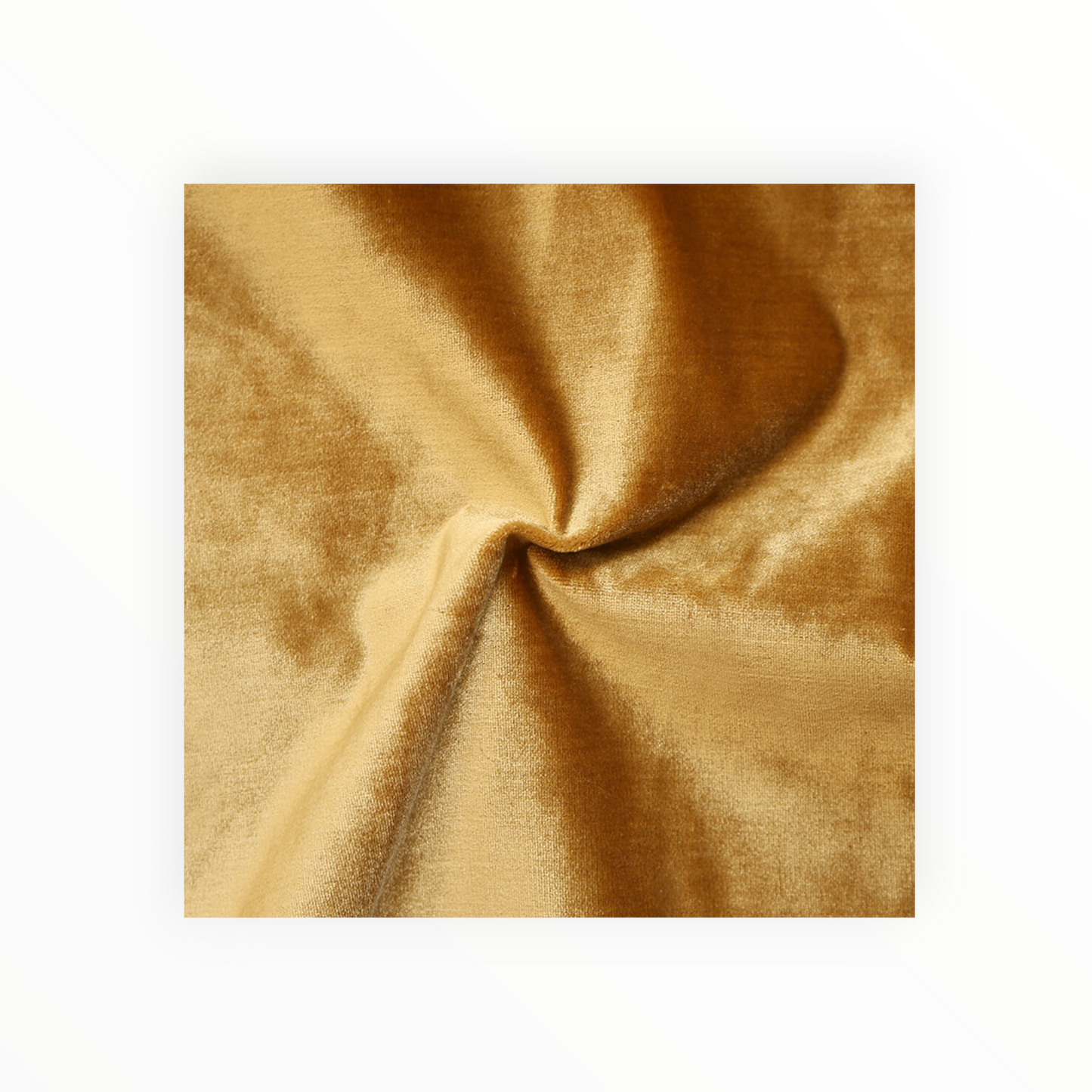 Regal Velvet Collection: Triple Crown Velvet Fabric